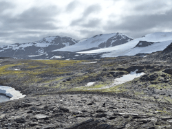 Remains of the McCloud Glacier, 2024, by Prof Peter Convey
